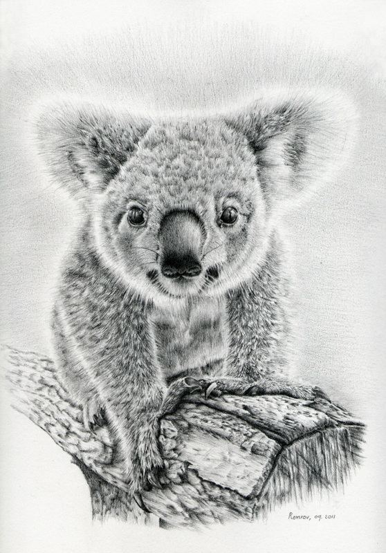 Photorealistic Pencil Drawings of Animals - Remrov's Artwork