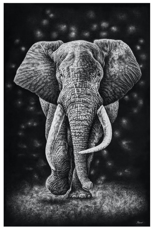 Realistic pencil drawing of an elephant