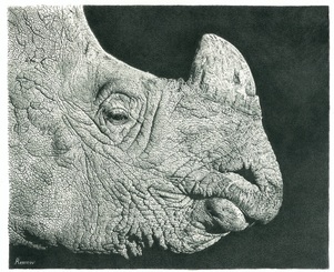 Photorealistic pencil drawing of a rhino