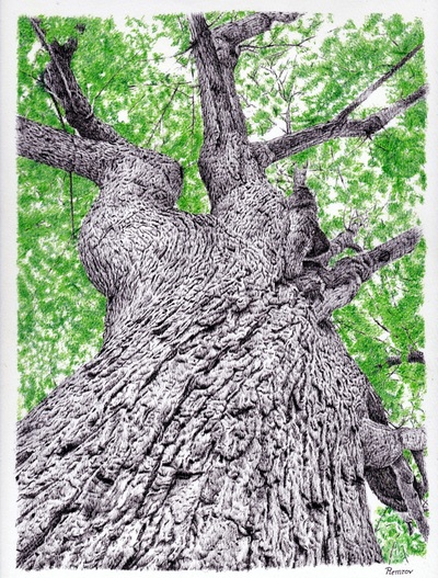 Remrov - amazing realistic drawing of tree