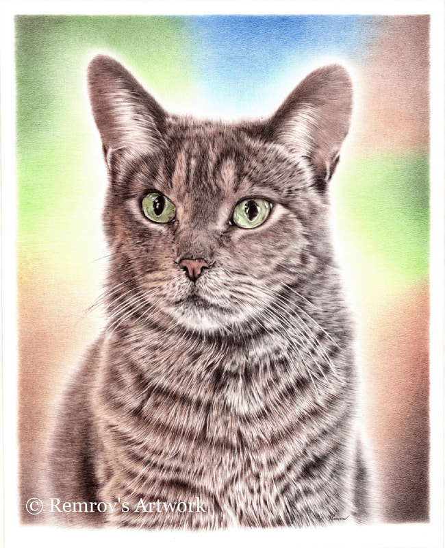 Amazing realistic drawing of a cat by Casey Remrov Vormer