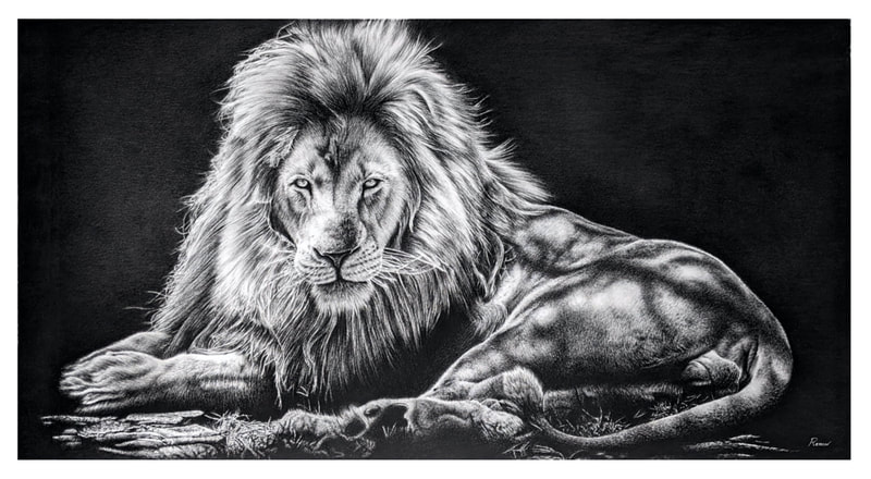 Life-size hyperrealistic lion drawing - Remrov